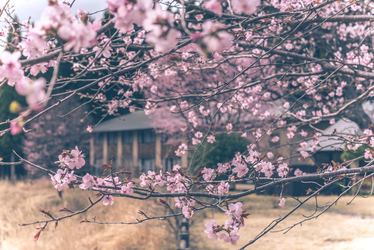 Kaze No Hibiki Otel Nikko Dış mekan fotoğraf