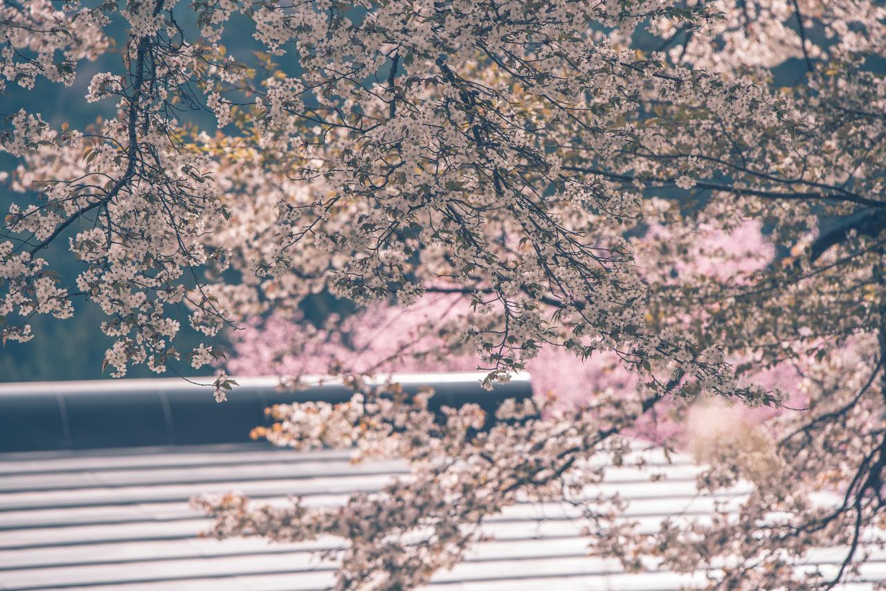 Kaze No Hibiki Otel Nikko Dış mekan fotoğraf